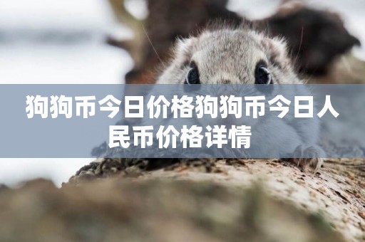 狗狗幣今日價格狗狗幣今日人民幣價格詳情 
