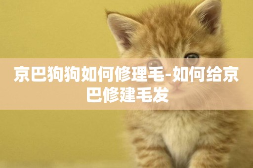 京巴狗狗如何修理毛-如何給京巴修建毛發