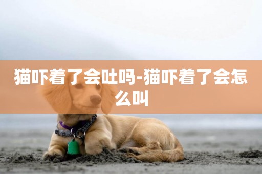 貓嚇著了會吐嗎-貓嚇著了會怎么叫