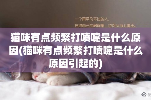 貓咪有點頻繁打噴嚏是什么原因(貓咪有點頻繁打噴嚏是什么原因引起的)
