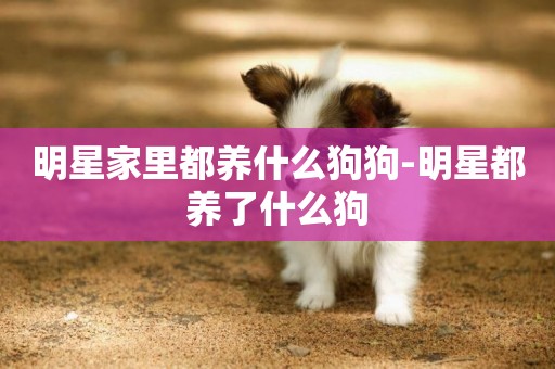 明星家里都養什么狗狗-明星都養了什么狗
