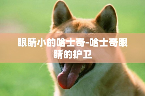 眼睛小的哈士奇-哈士奇眼睛的護衛