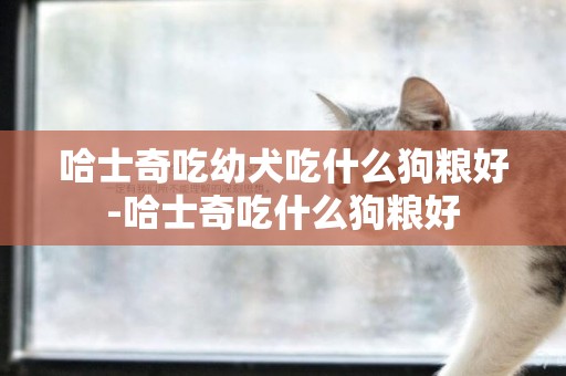 哈士奇吃幼犬吃什么狗糧好-哈士奇吃什么狗糧好