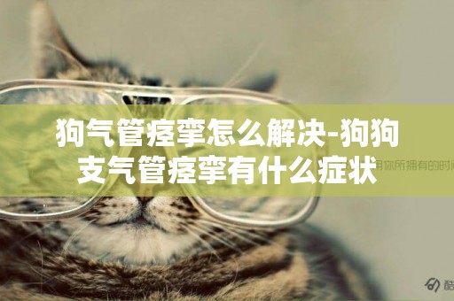 狗氣管痙攣怎么解決-狗狗支氣管痙攣有什么癥狀