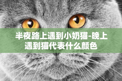 半夜路上遇到小奶貓-晚上遇到貓代表什么顏色
