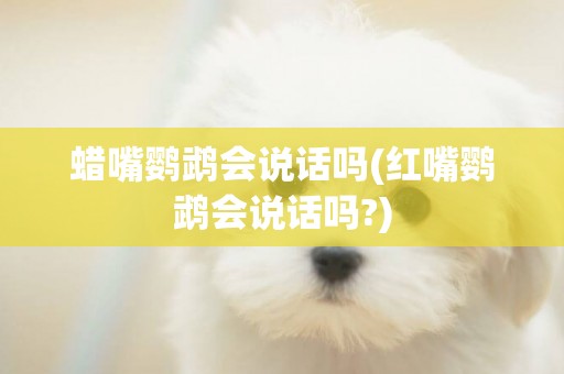 蠟嘴鸚鵡會說話嗎(紅嘴鸚鵡會說話嗎?)