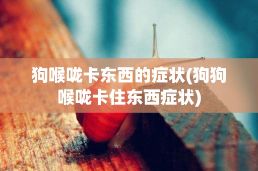 狗喉嚨卡東西的癥狀(狗狗喉嚨卡住東西癥狀)