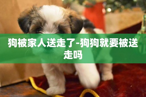 狗被家人送走了-狗狗就要被送走嗎