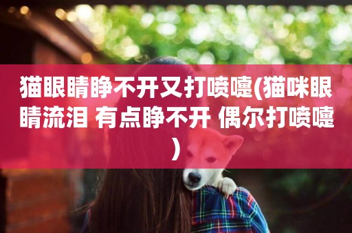 貓眼睛睜不開又打噴嚏(貓咪眼睛流淚 有點睜不開 偶爾打噴嚏)