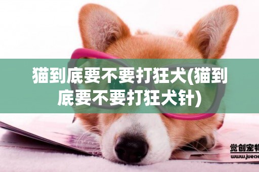 貓到底要不要打狂犬(貓到底要不要打狂犬針)