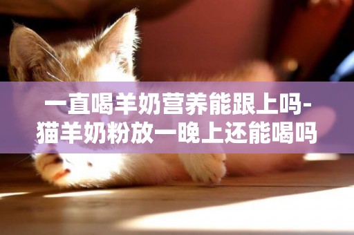 一直喝羊奶營養能跟上嗎-貓羊奶粉放一晚上還能喝嗎
