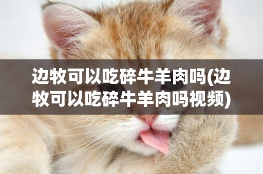 邊牧可以吃碎牛羊肉嗎(邊牧可以吃碎牛羊肉嗎視頻)