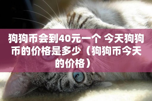 狗狗幣會到40元一個 今天狗狗幣的價格是多少（狗狗幣今天的價格） 