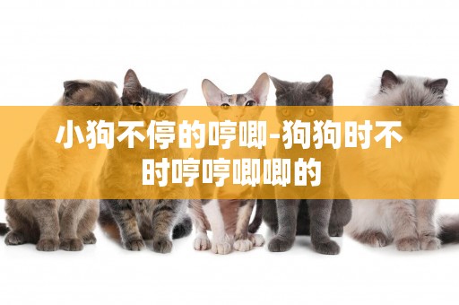 小狗不停的哼唧-狗狗時不時哼哼唧唧的