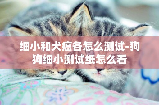 細小和犬瘟各怎么測試-狗狗細小測試紙怎么看