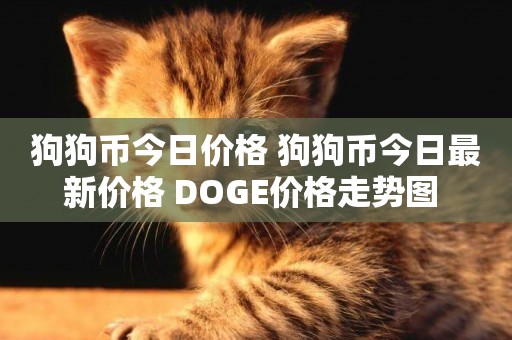 狗狗幣今日價格 狗狗幣今日最新價格 DOGE價格走勢圖 