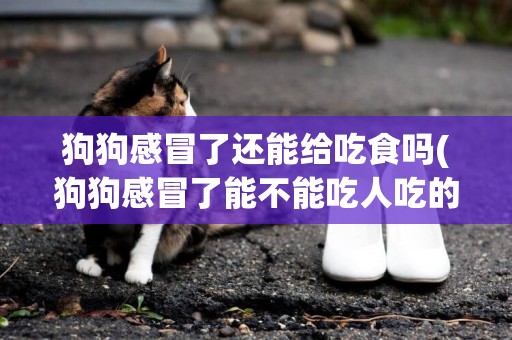 狗狗感冒了還能給吃食嗎(狗狗感冒了能不能吃人吃的感冒藥)