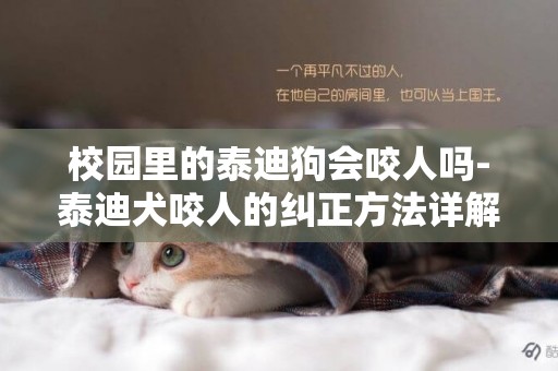 校園里的泰迪狗會咬人嗎-泰迪犬咬人的糾正方法詳解