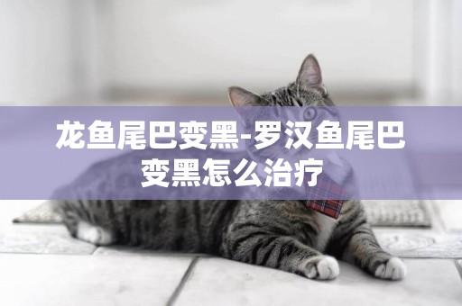 龍魚尾巴變黑-羅漢魚尾巴變黑怎么治療
