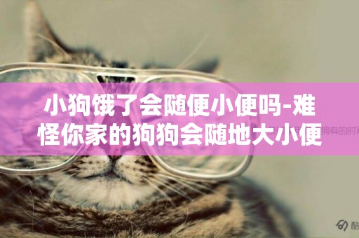 小狗餓了會隨便小便嗎-難怪你家的狗狗會隨地大小便