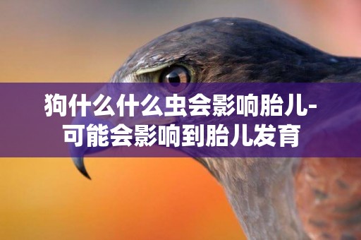 狗什么什么蟲會影響胎兒-可能會影響到胎兒發育