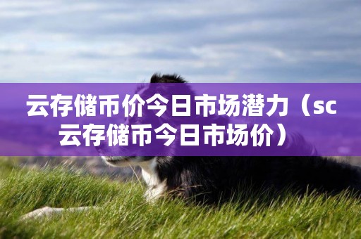 云存儲幣價今日市場潛力（sc云存儲幣今日市場價） 