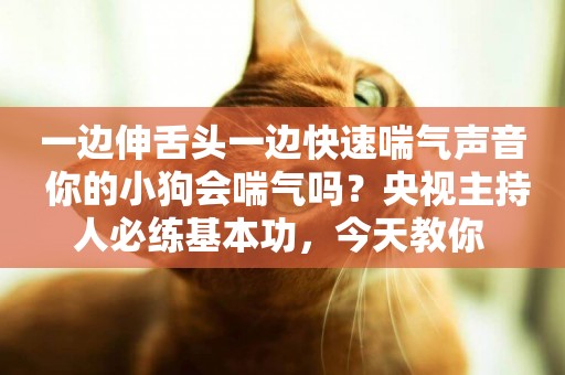 一邊伸舌頭一邊快速喘氣聲音 你的小狗會喘氣嗎？央視主持人必練基本功，今天教你 