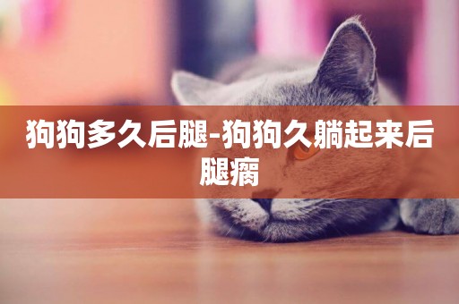 狗狗多久后腿-狗狗久躺起來后腿瘸
