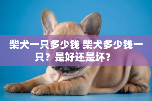 柴犬一只多少錢 柴犬多少錢一只？是好還是壞？ 