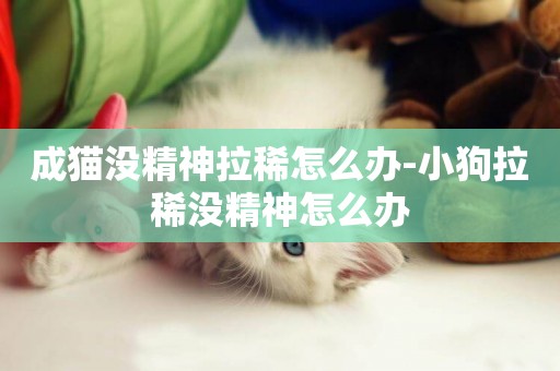 成貓沒精神拉稀怎么辦-小狗拉稀沒精神怎么辦