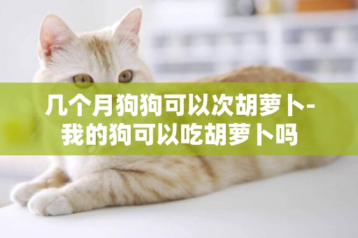 幾個月狗狗可以次胡蘿卜-我的狗可以吃胡蘿卜嗎