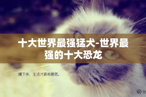 十大世界最強猛犬-世界最強的十大恐龍