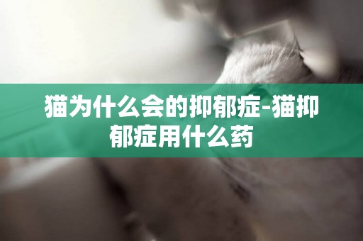 貓為什么會的抑郁癥-貓抑郁癥用什么藥