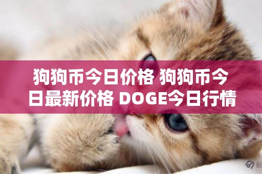 狗狗幣今日價格 狗狗幣今日最新價格 DOGE今日行情K線 