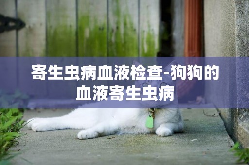 寄生蟲病血液檢查-狗狗的血液寄生蟲病
