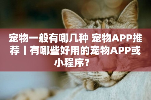 寵物一般有哪幾種 寵物APP推薦丨有哪些好用的寵物APP或小程序？ 