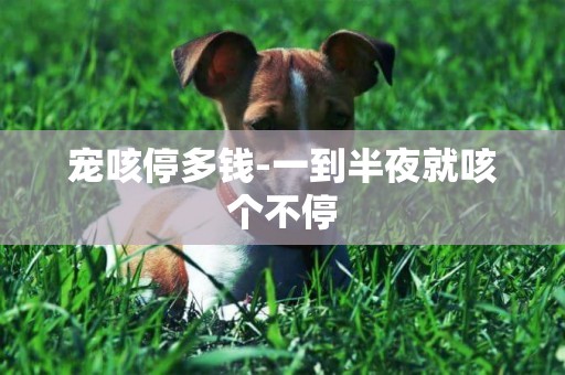 寵咳停多錢-一到半夜就咳個不停