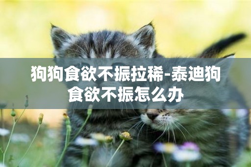 狗狗食欲不振拉稀-泰迪狗食欲不振怎么辦