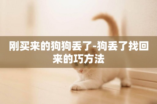 剛買來的狗狗丟了-狗丟了找回來的巧方法