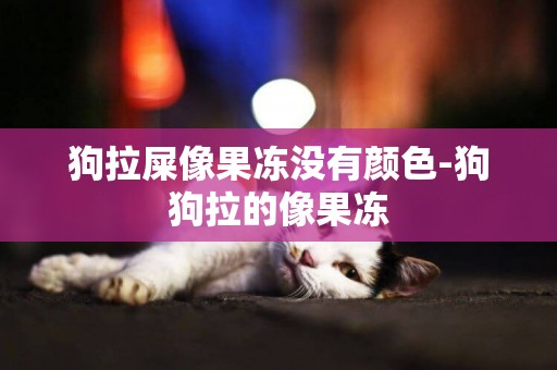 狗拉屎像果凍沒有顏色-狗狗拉的像果凍