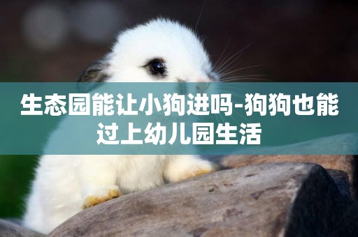 生態園能讓小狗進嗎-狗狗也能過上幼兒園生活