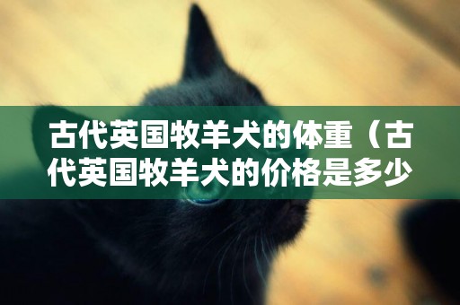 古代英國牧羊犬的體重（古代英國牧羊犬的價格是多少） 