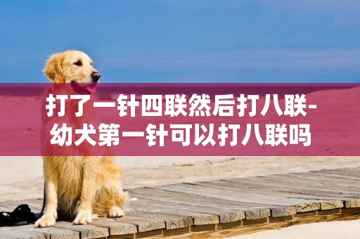 打了一針四聯然后打八聯-幼犬第一針可以打八聯嗎
