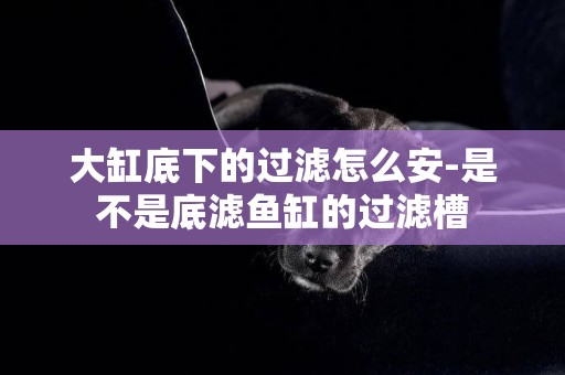 大缸底下的過濾怎么安-是不是底濾魚缸的過濾槽