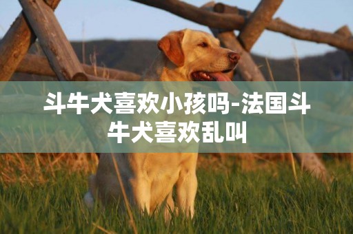 斗牛犬喜歡小孩嗎-法國斗牛犬喜歡亂叫