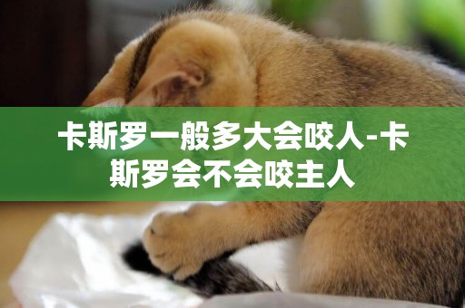 卡斯羅一般多大會咬人-卡斯羅會不會咬主人