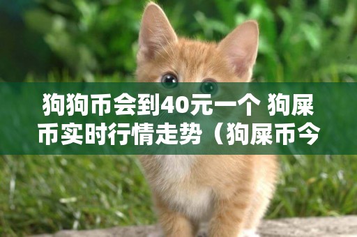 狗狗幣會到40元一個 狗屎幣實時行情走勢（狗屎幣今日行情） 