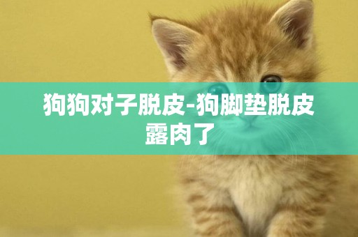狗狗對子脫皮-狗腳墊脫皮露肉了