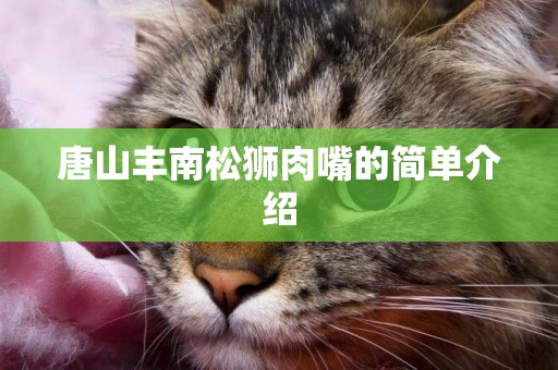 唐山豐南松獅肉嘴的簡單介紹