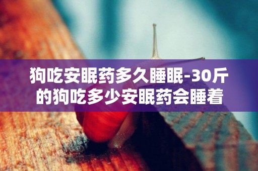 狗吃安眠藥多久睡眠-30斤的狗吃多少安眠藥會睡著